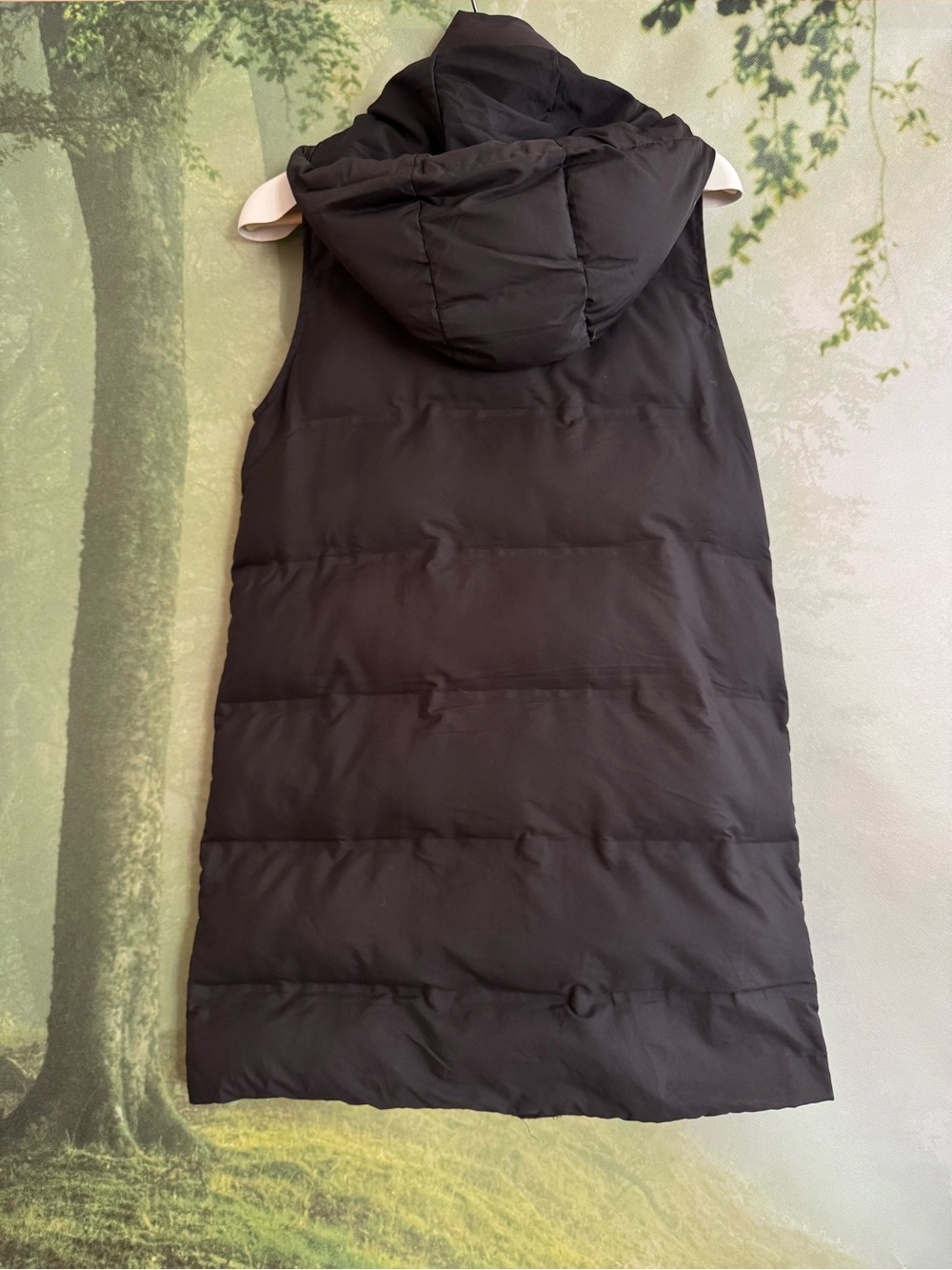 Zara Vest - Picture 2 of 2